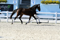 HSM_6331