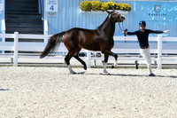 HSM_6334