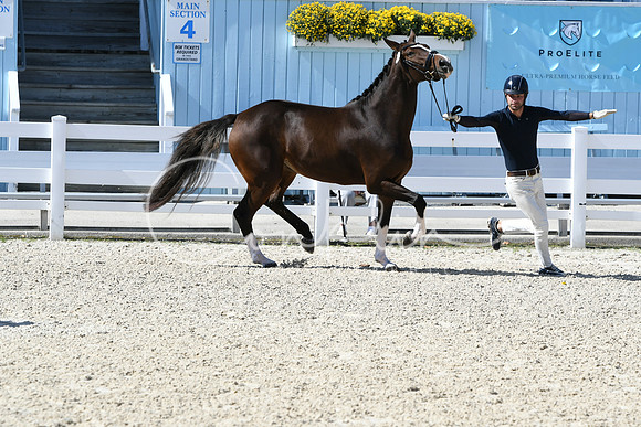 HSM_6334