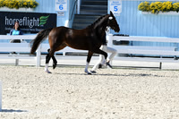 HSM_6330
