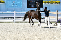 HSM_6336