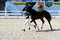 HSM_6339