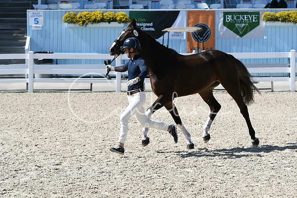 HSM_6339
