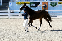 HSM_6340