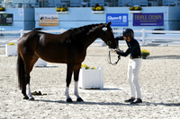 HSM_6346