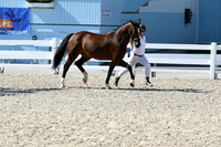 HSM_6269