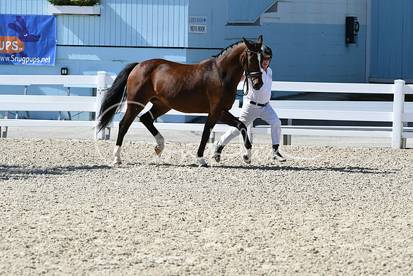 HSM_6269
