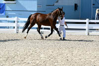 HSM_6270