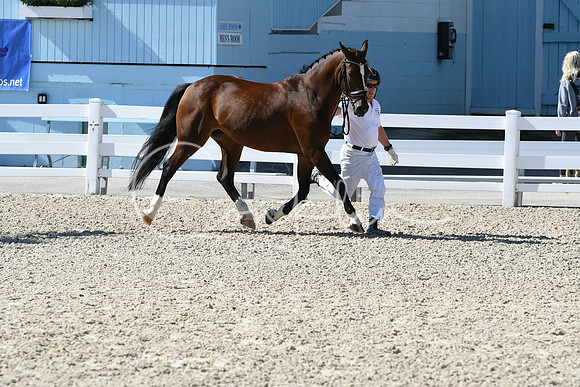 HSM_6270