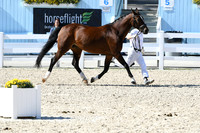 HSM_6272