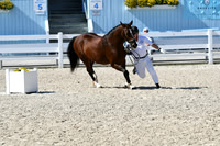 HSM_6274