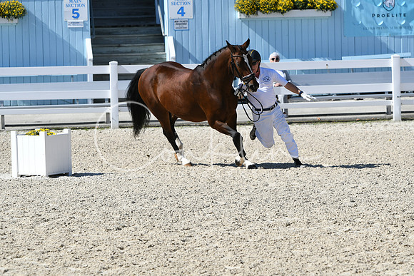 HSM_6274