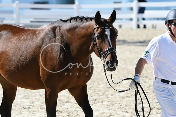 HSM_6282