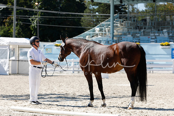 _MG_3925