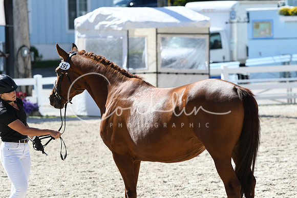 HSM_6356