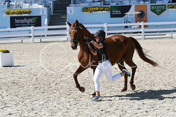 HSM_6363