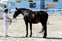 HSM_6378