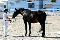 HSM_6379