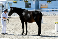 HSM_6384