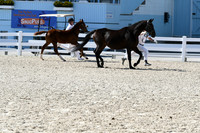HSM_6388