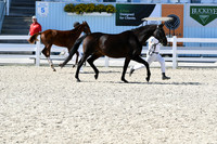 HSM_6389