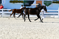 HSM_6391