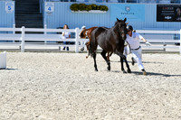 HSM_6394