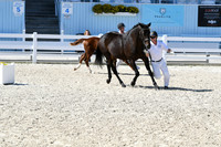 HSM_6392