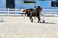 HSM_6393