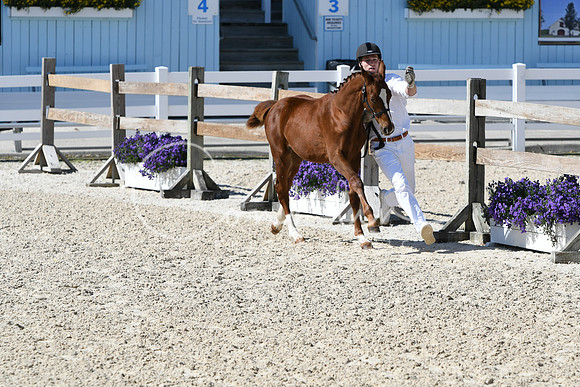 HSM_6396