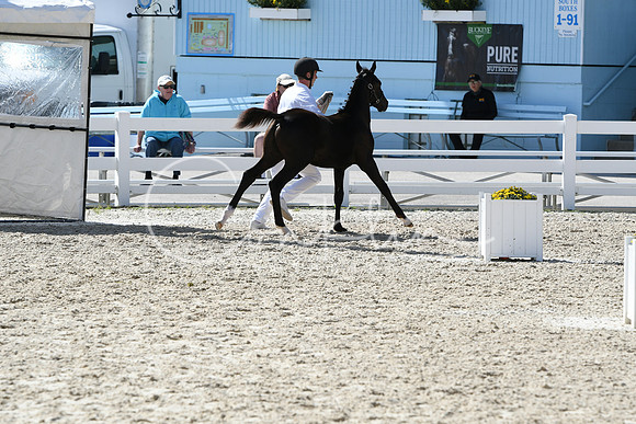 HSM_6454
