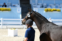 HSM_6352