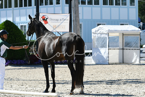 HSM_6249