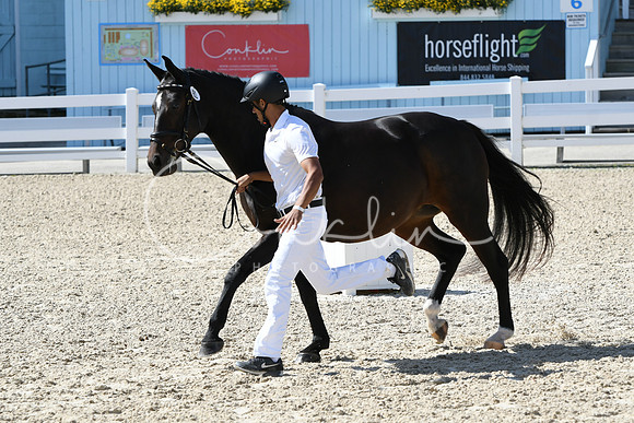 HSM_6424