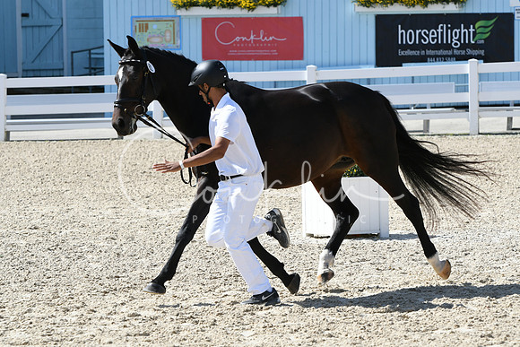 HSM_6425