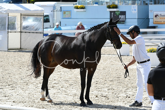 HSM_6437