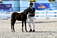 HSM_6241