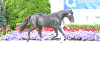 HSM_6604