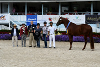 HSM_6707
