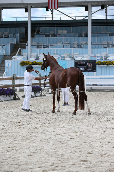 RJC10934