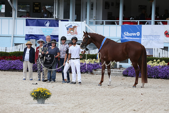 RJC10998