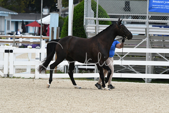 HSM_2471