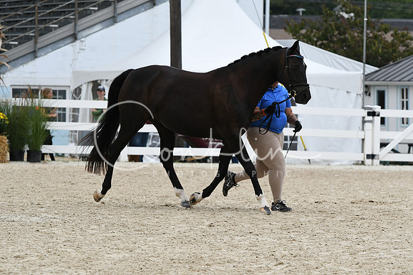 HSM_2475
