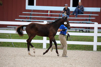 795A2505