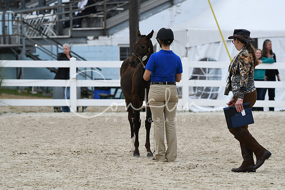 HSM_2632
