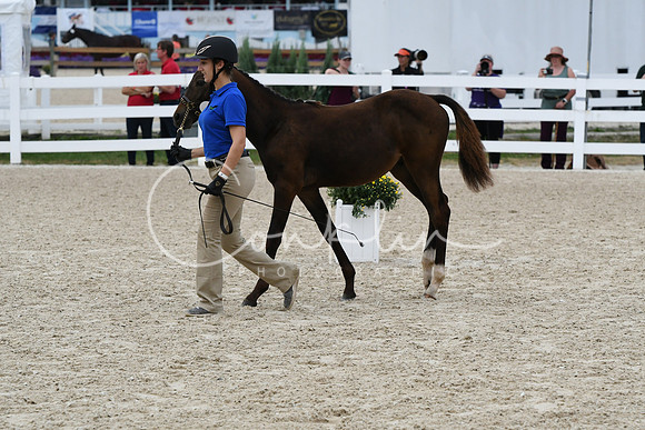 HSM_2634