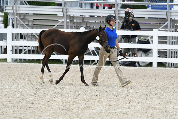 HSM_2636
