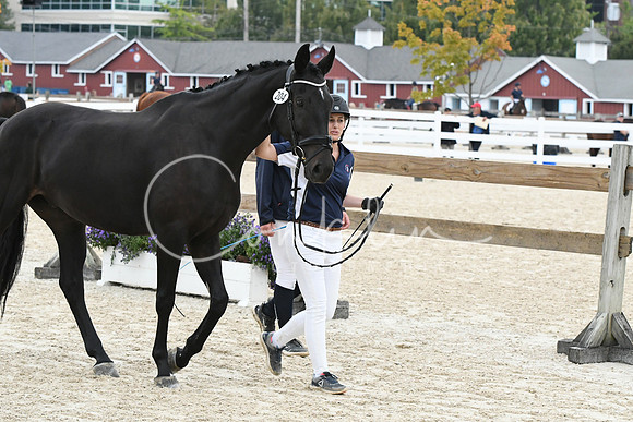HSM_2693