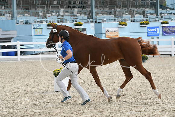 HSM_2725