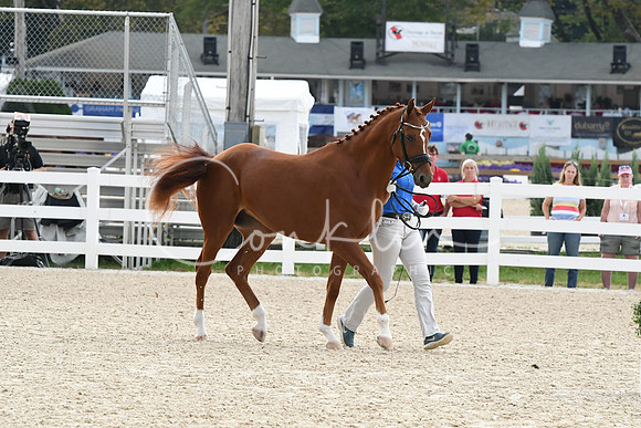 HSM_2735